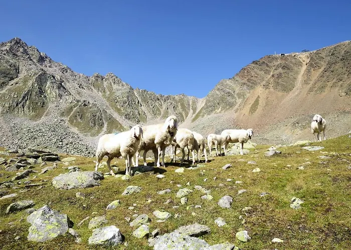 Mario Апартаменты *